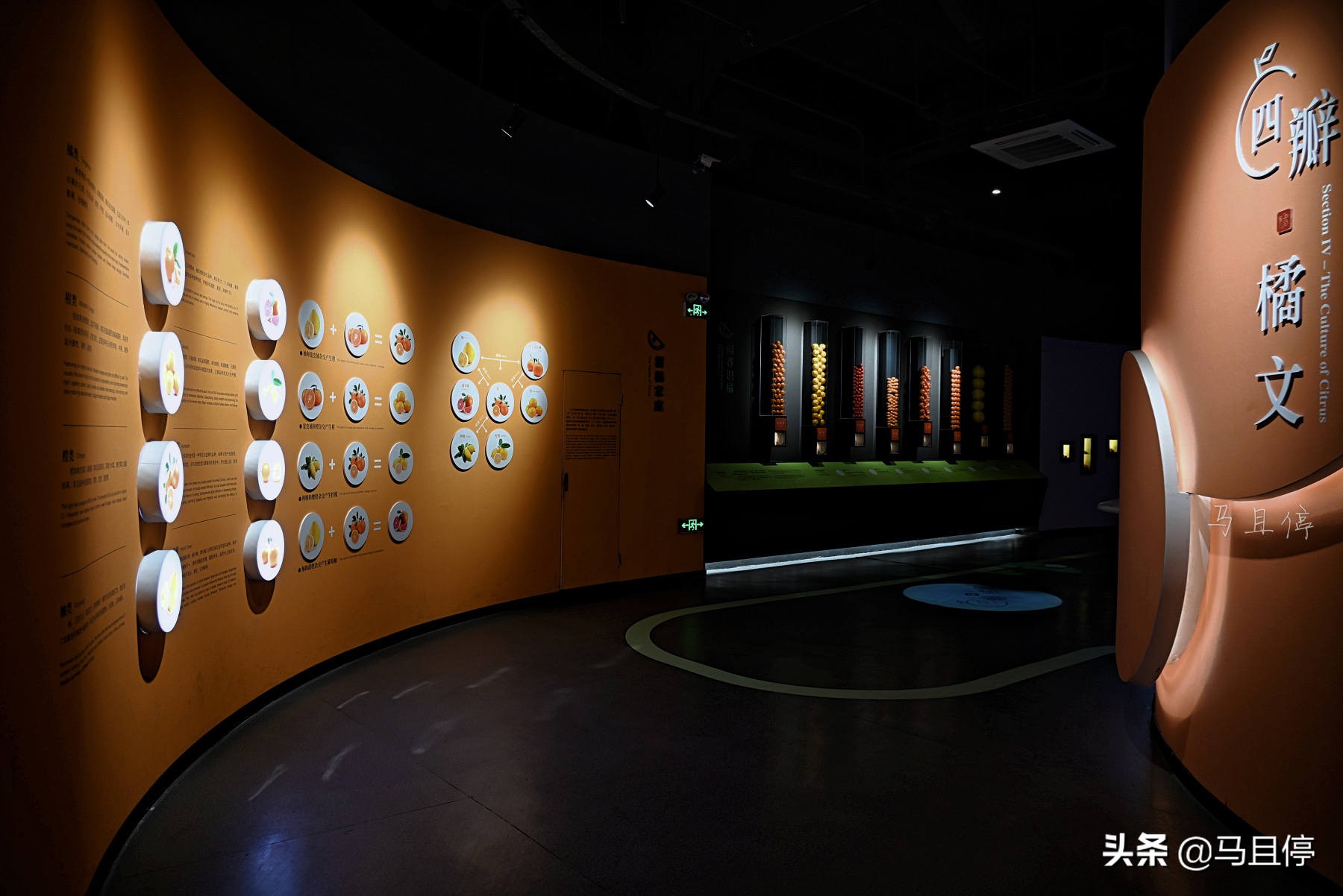 台州黄岩还有崛起的时候吗,黄岩有多强