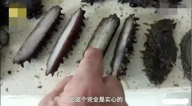 为什么不建议买海参 (购买海参莫着急看完再买也不迟)