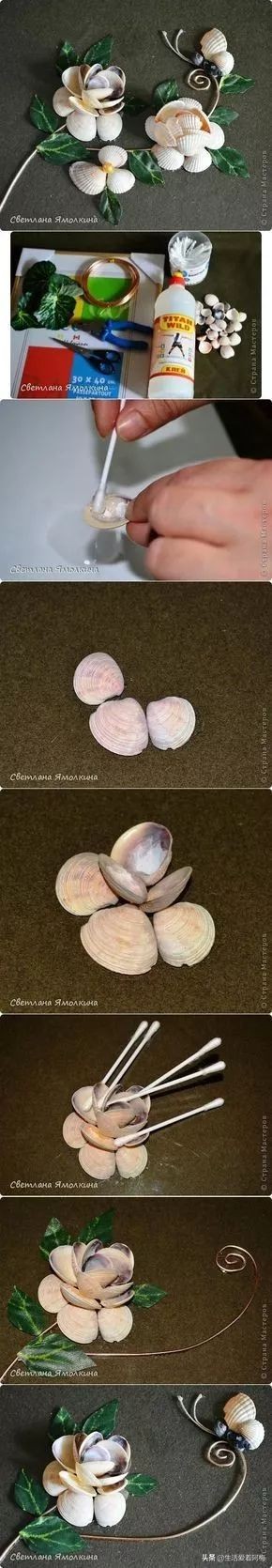 在贝壳里做上好看的装饰,简单的贝壳的工艺品