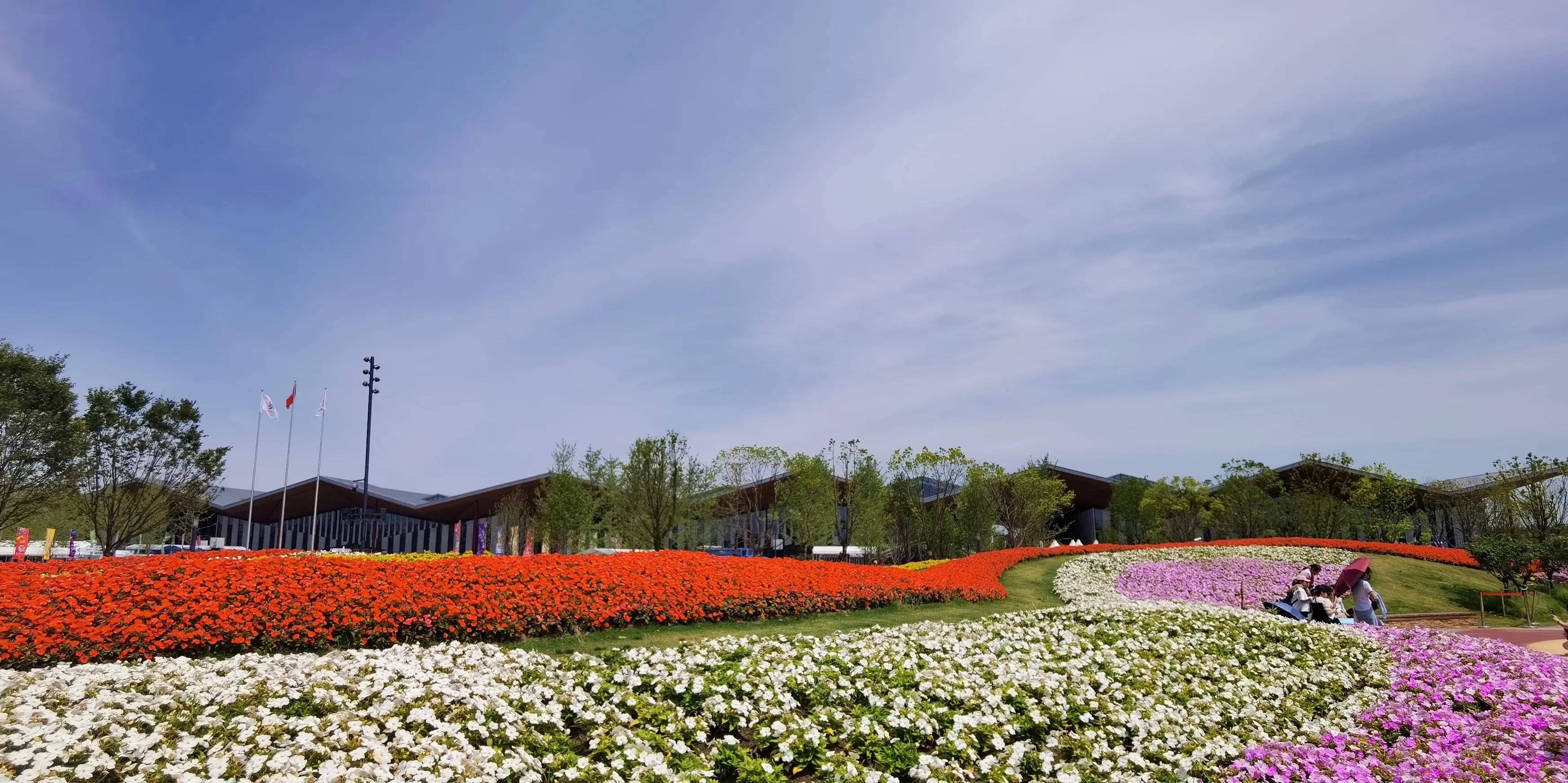 关于崇明花博会,崇明花博会全程花景