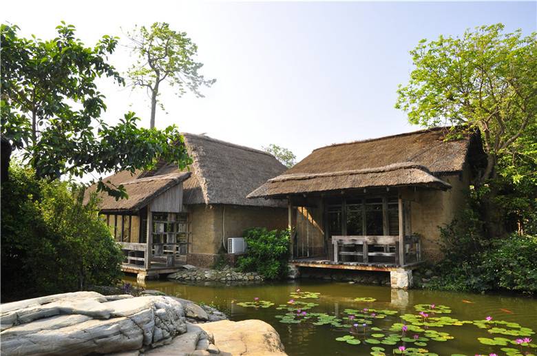 湛江一日游最佳景点湛江特呈岛,特呈岛湛江旅游攻略