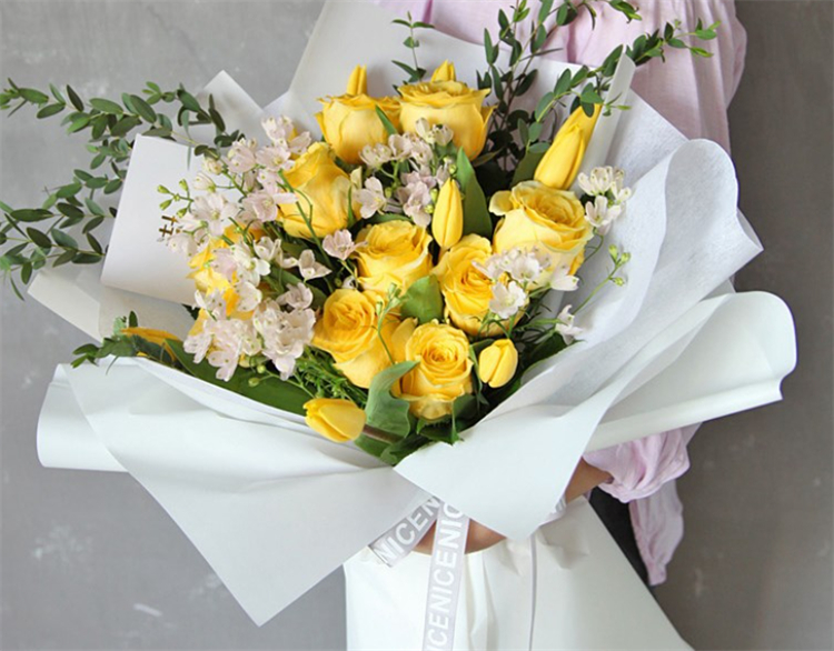 向女朋友道歉送什么花合适,给女友道歉送什么花合适呢