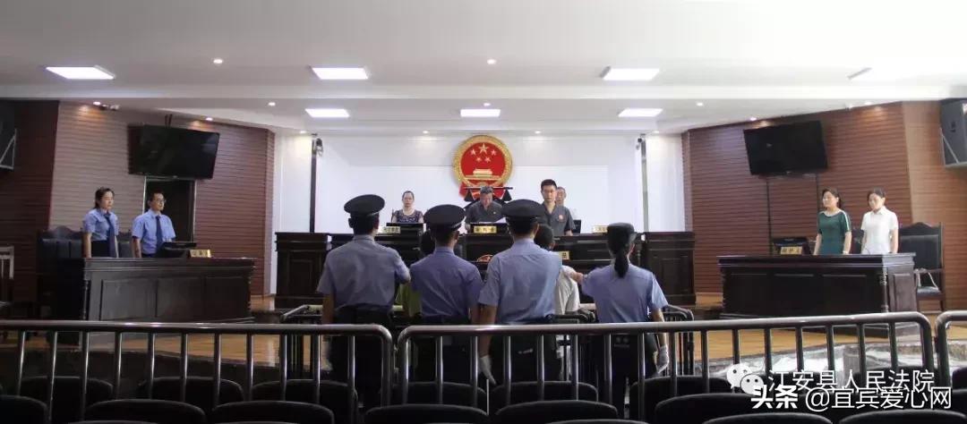 长记性啦，为啥在宜宾不能乱捕泥鳅黄鳝？江安县法院有话说