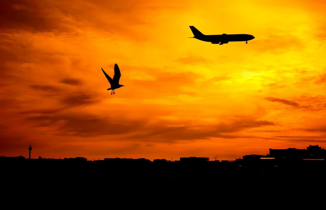 空中飞鸟撞击飞机,空中战斗机和导弹对战