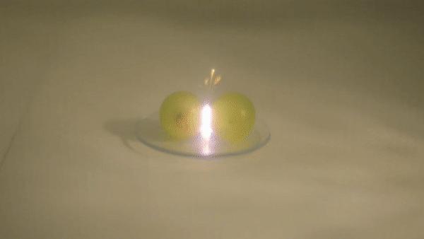 两颗葡萄微波炉加热是真的吗,葡萄为什么会在微波炉中爆炸