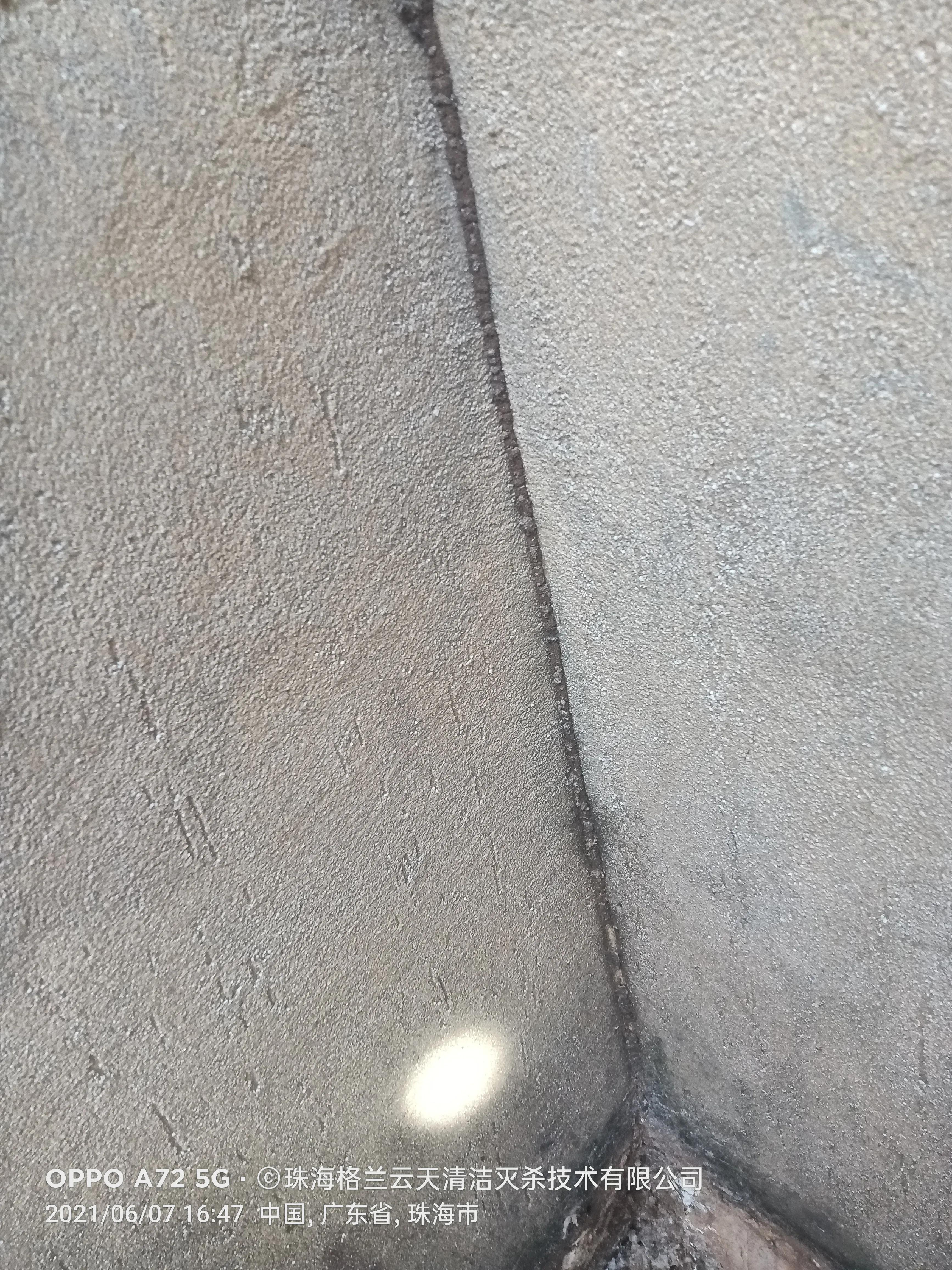 珠海白蚁防治找哪家,珠海白蚁防治服务公司