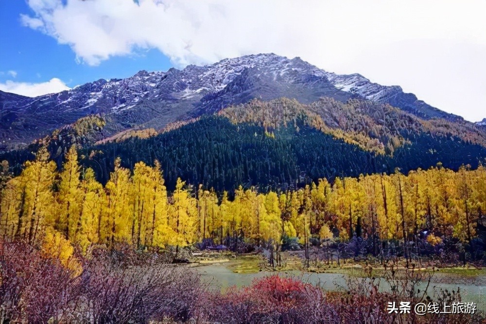 四川省内五一冷门车少路线,四川五一雅安冷门自驾游