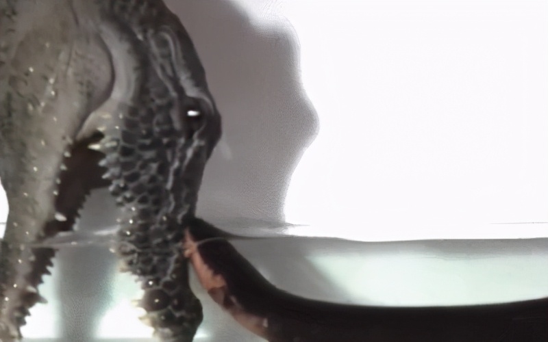 电游三巨头,捕鱼三巨头