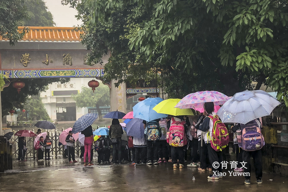 顺德逢简水乡，那一片小桥流水人家的风光，是古桥古屋古木的桃源