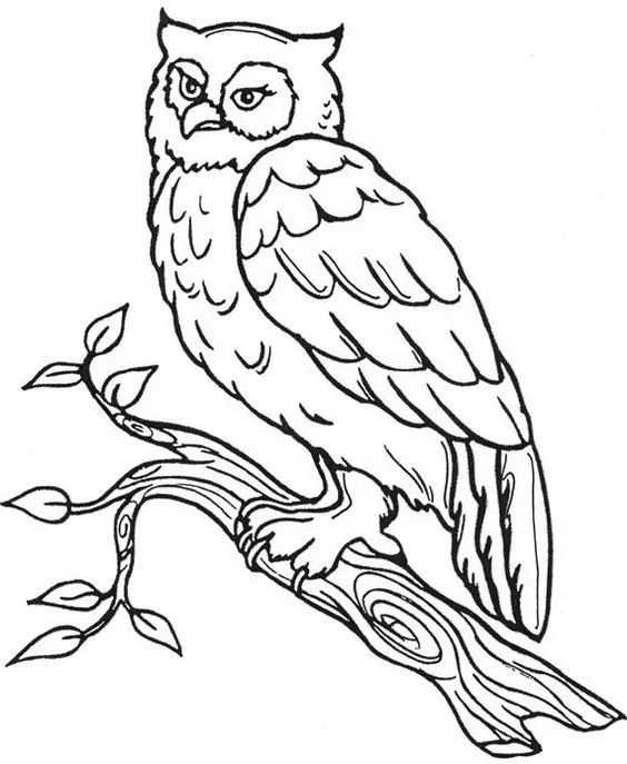 画画入门教程干货博主,基础入门画画必知