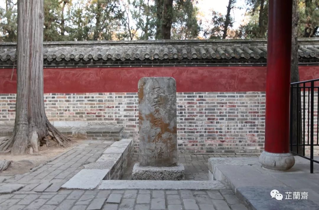 孔林各个时代的墓葬,孔林埋葬孔子家族墓葬多少座