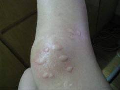 sixgod清爽祛味花露水,sixgod驱蚊花露水便携型冰莲香型