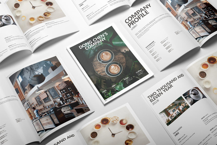 深圳企业宣传画册制作流程,深圳企业宣传册设计案例