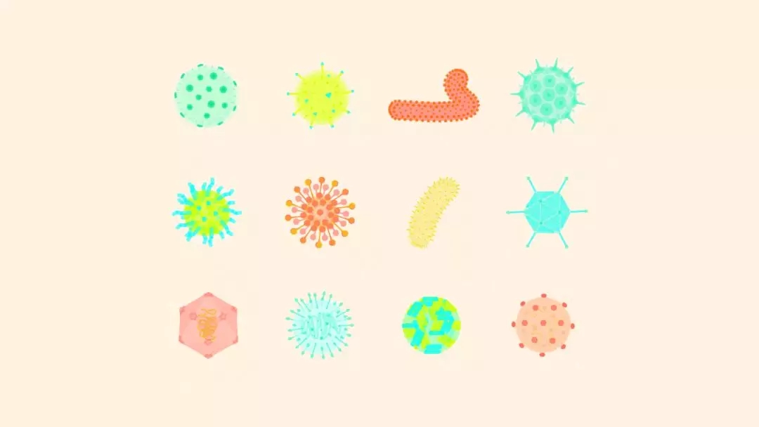 下身长疱疹怎么办,手上长疱疹怎么办