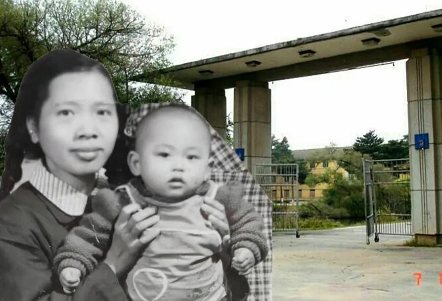 龙山抗战历史,龙山革命事迹