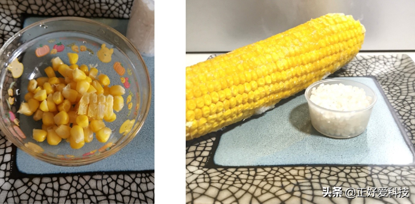 口袋养生，把你捧在手心里，东菱轻食杯VS九阳魔法豆迷你豆浆机