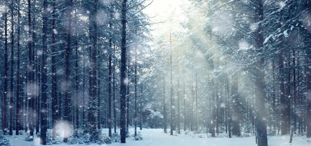 学习写科学想象作文,未来的学习生活作文想象篇
