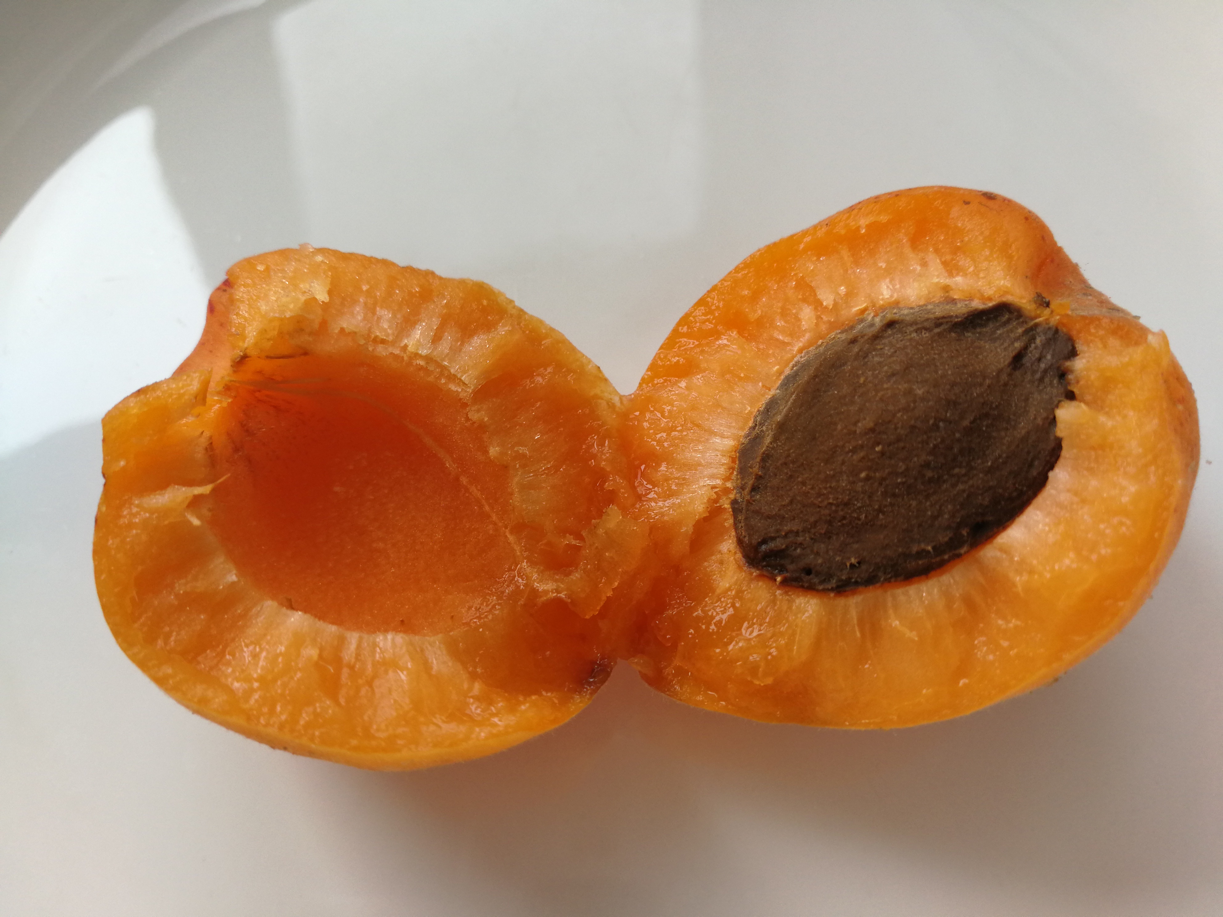 吃杏肉减肥吗,杏吃了可以减肥吗