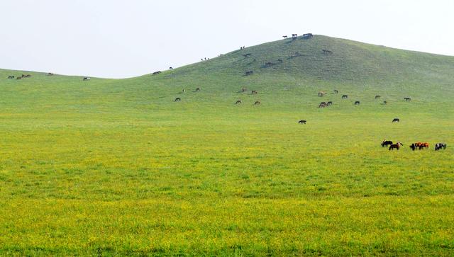 一辆车,从东乌旗沿中蒙边境公路到阿尔山,漫长边关寻迹历史遗存
