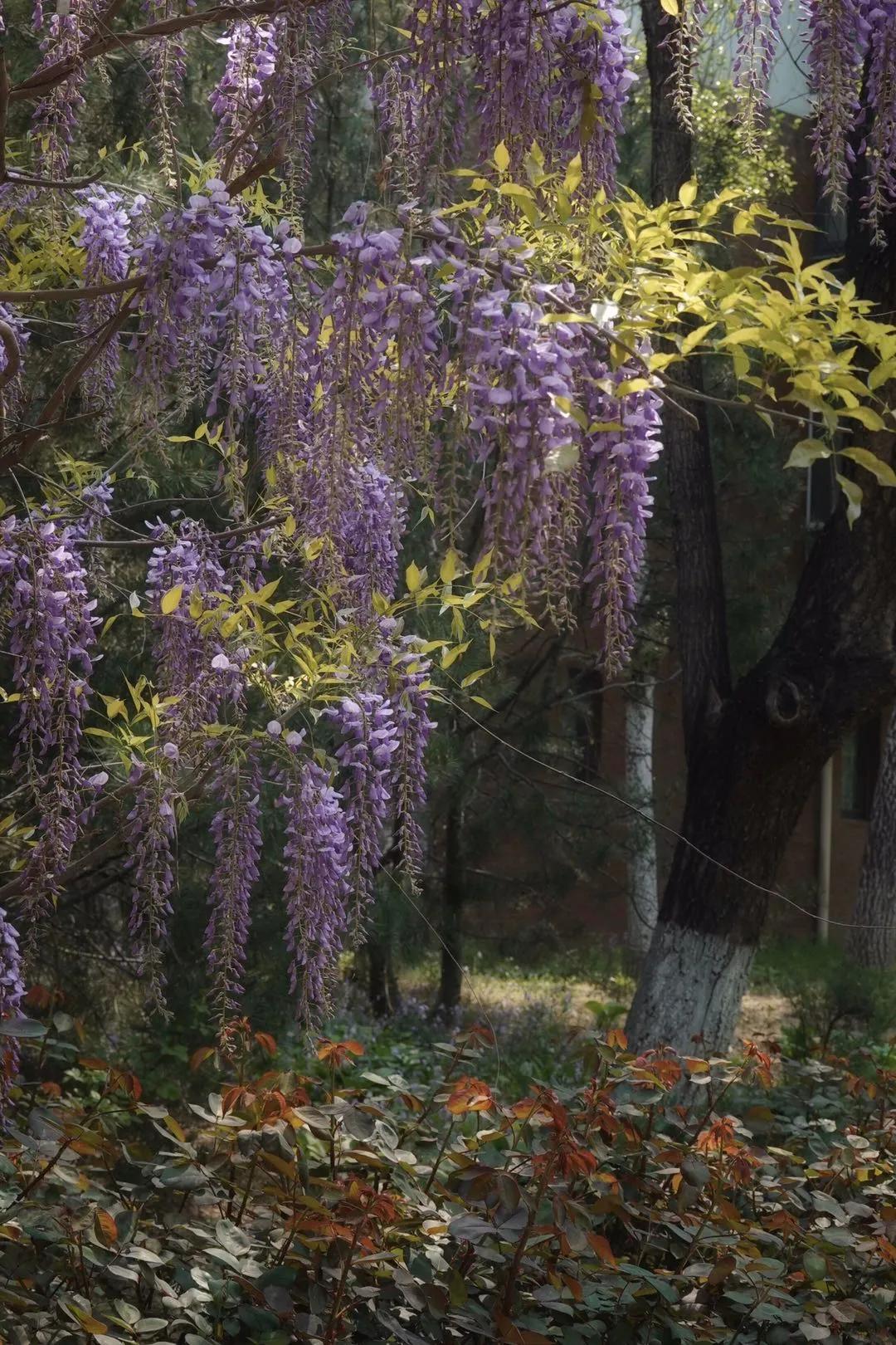 三生三世在古代到底指多少年,三生三世具体是指