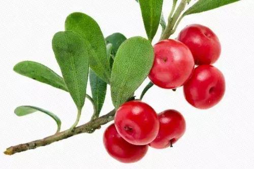 韩束美白补水晚安睡眠面膜,韩束熬夜面膜去黄提亮