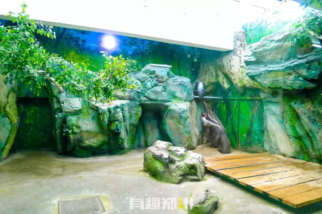 郑州市动物园开放,郑州市动物园什么时候去合适