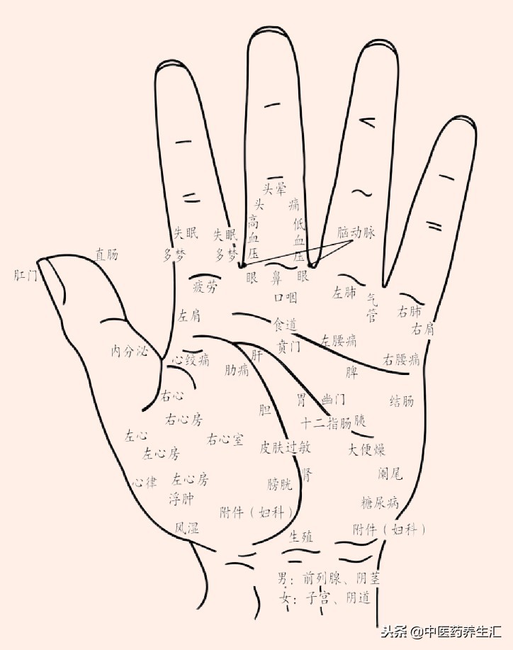 手诊面诊识疾病,手诊手相