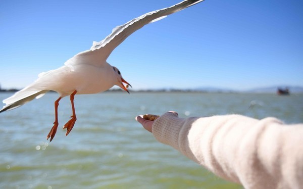 这个冬天特别冷没办法旅游,冬天这么冷的天还能出去玩吗
