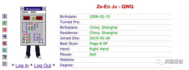 扫雷游戏排行榜前十名,扫雷游戏最高纪录