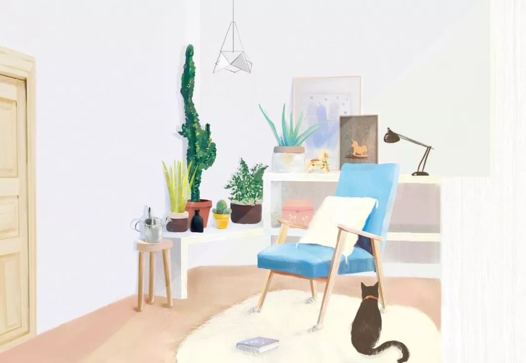 干净的卧室该摆放什么,卧室放什么植物最好风水