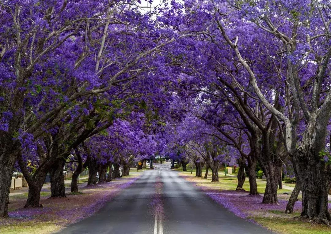 10月小众旅行地最美秋天惹人醉,秋天9月的时候适合去哪里