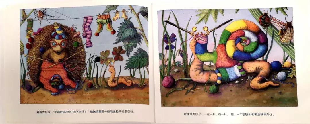 蜗牛躲在小房子里不出来怎么办,没有蜗牛壳的蜗牛是怎么回事