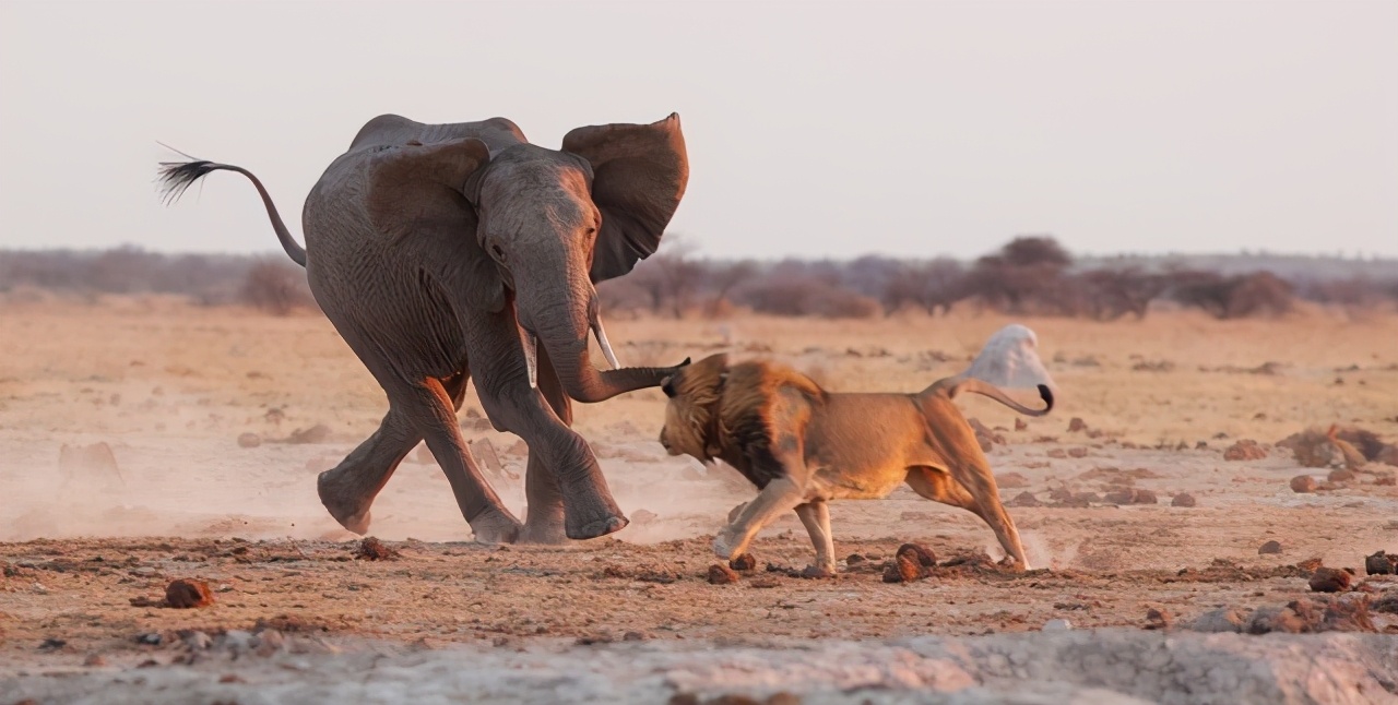 强者逻辑1,强者逻辑免费阅读