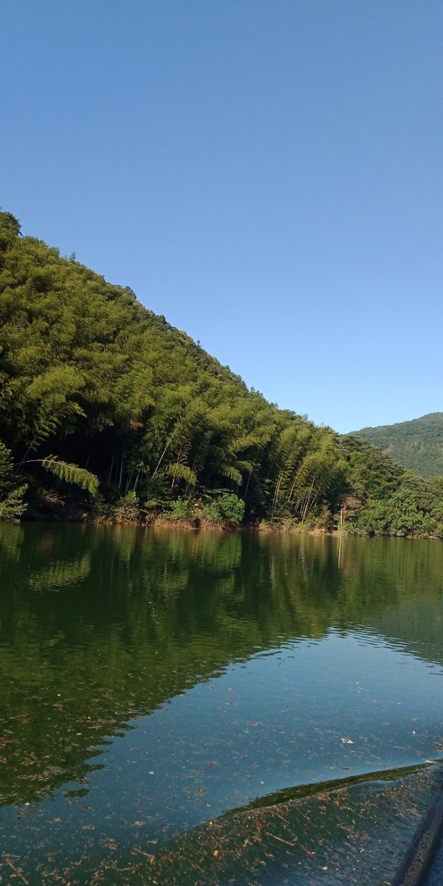 九州文学南京诗社作品,九州文学社作品