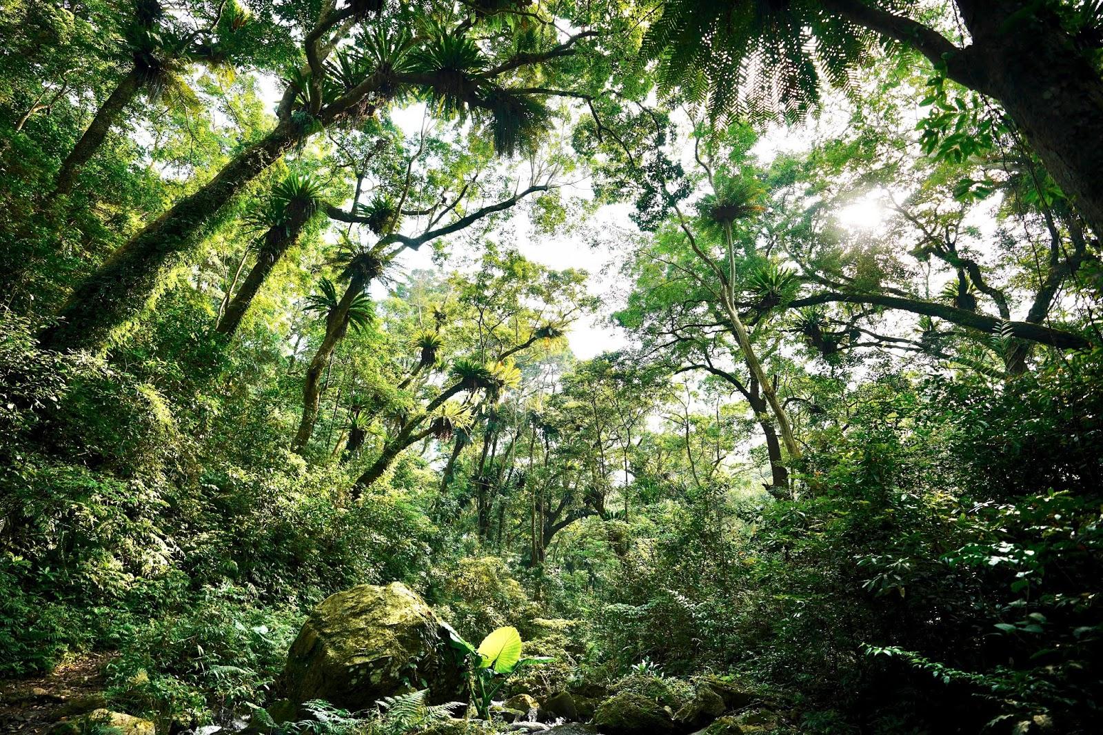 科恩keen溯溪鞋测评,溯溪鞋keen