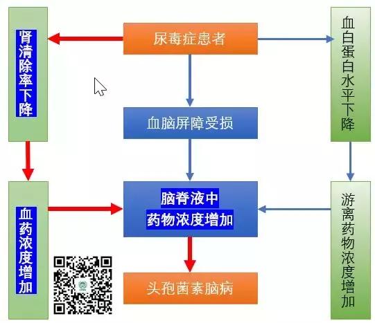 头孢类抗生素脑病,头孢类抗生素可引起脑病吗