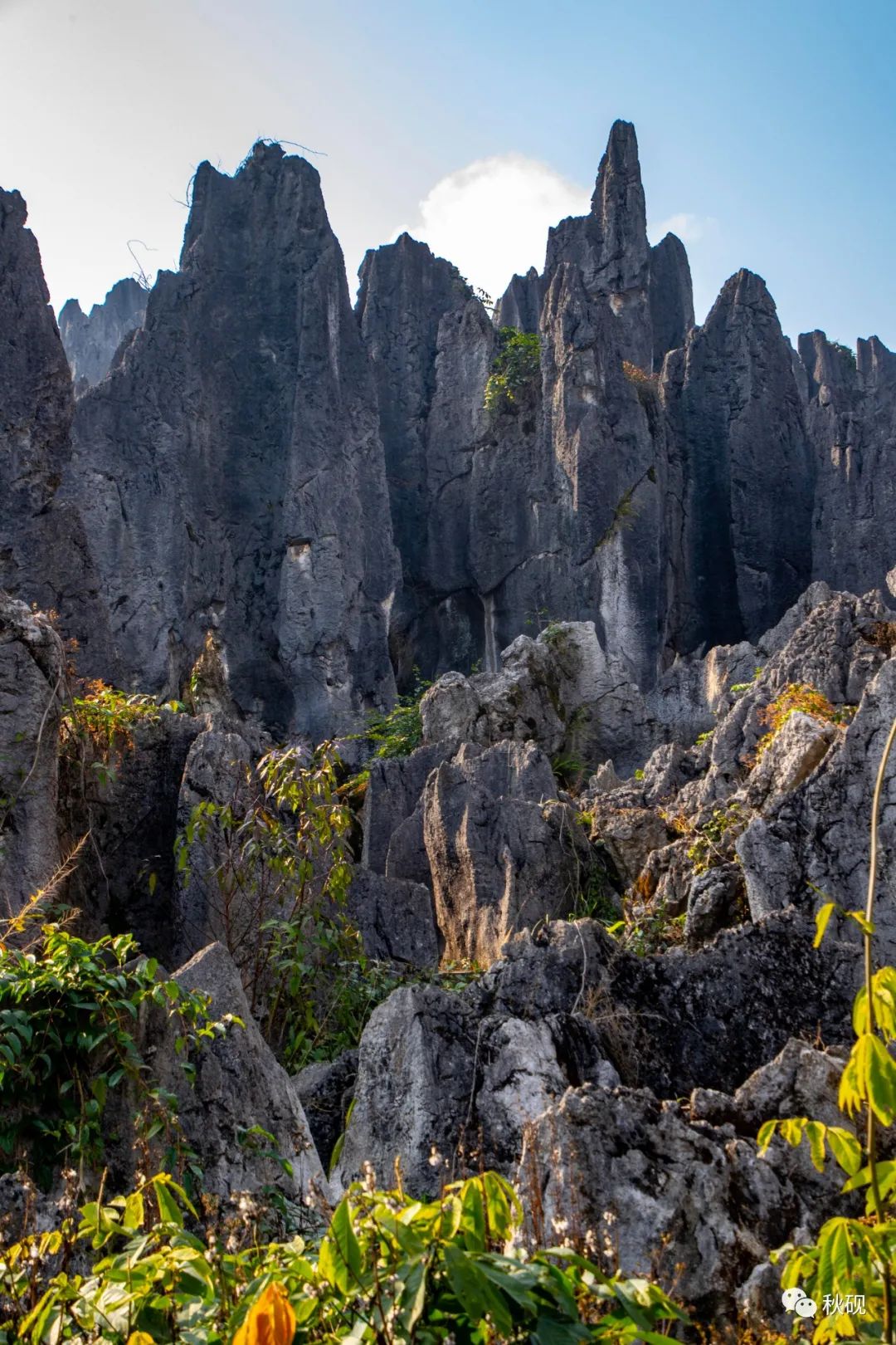 周游西南随记（六）弥蒙的万峰林
