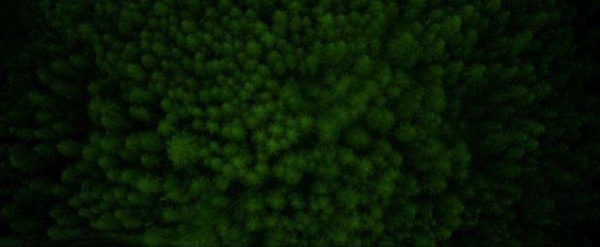 2019纭洏鎺ㄨ崘,2019纭洏鎺ㄨ崘1t