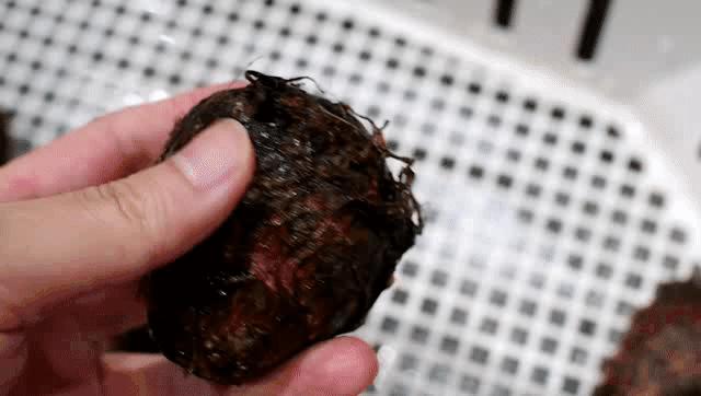 方太洗碗机的研究目的,方太洗碗机水槽ct03bl和ct03b