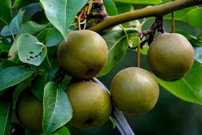 挡不住的惬意！来博山这个私藏胜地，带你过向往的生活