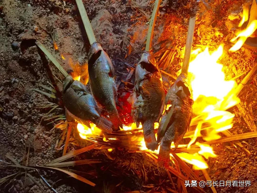 埃及最悲催的国家 (埃及都被哪七个国家征服过)