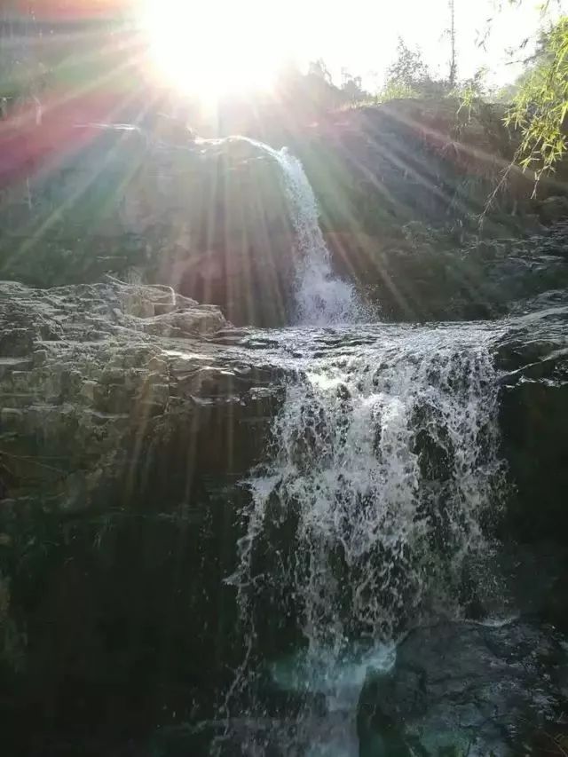 温州银杏哪里最美,温州秋冬的银杏树确实美