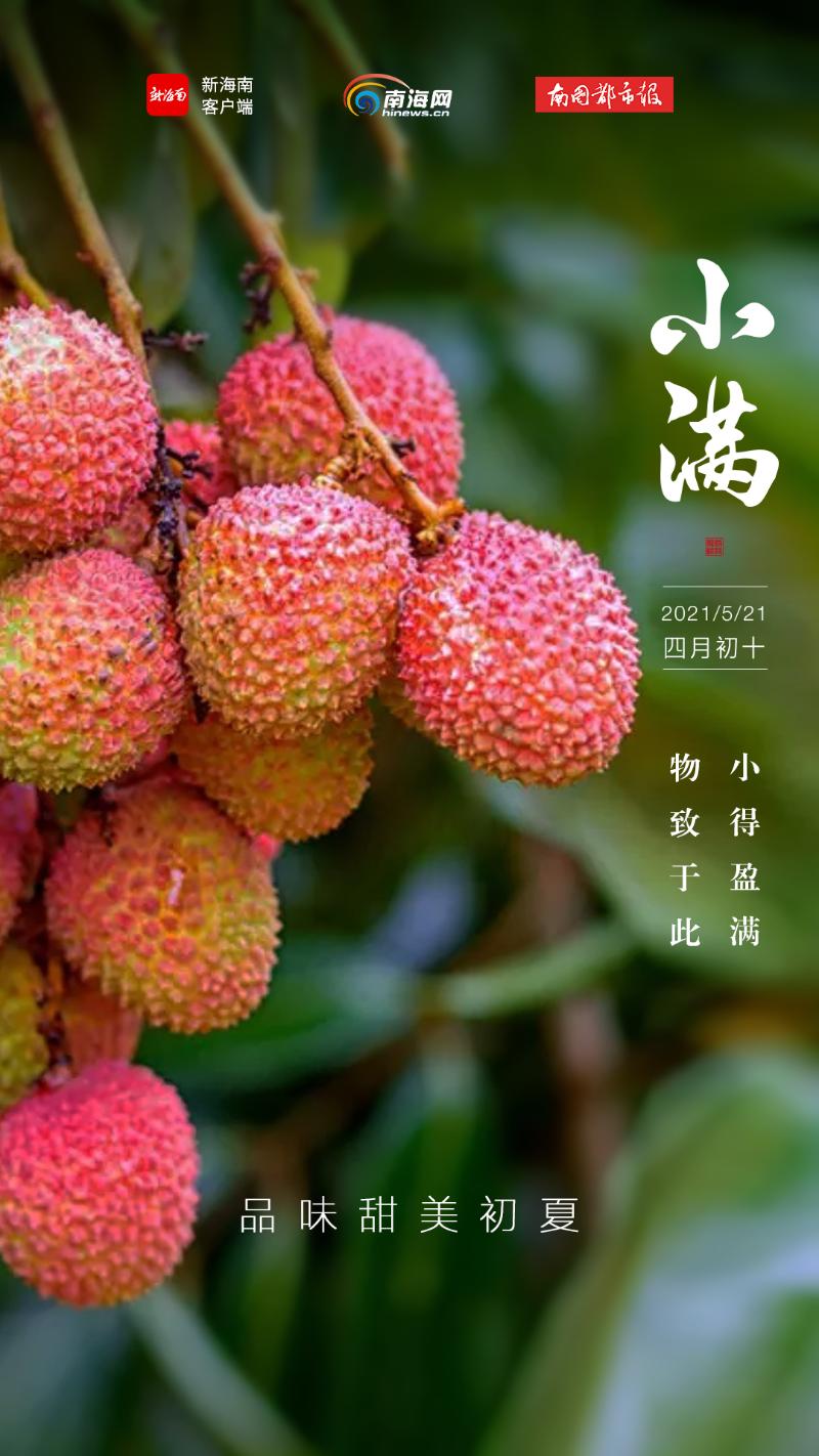 今日小满，遇见初夏！这个季节海南有哪些水果可以吃到爽？
