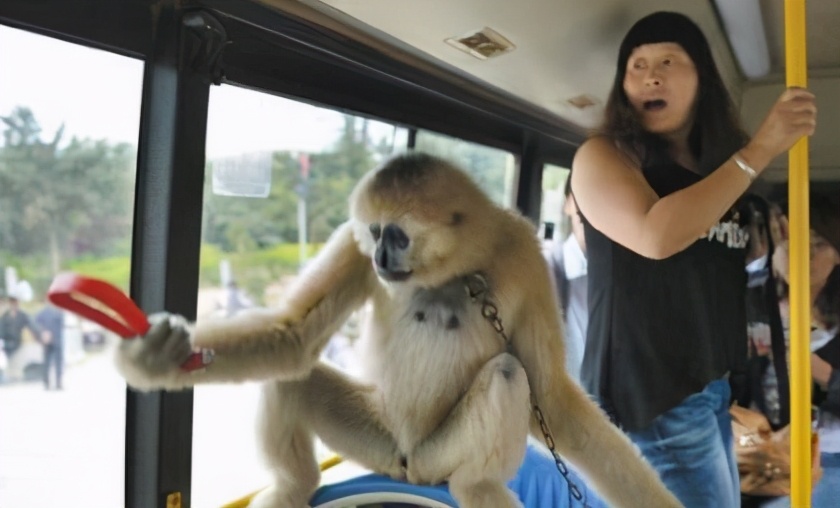 老北京流行的黑话,北京最全的黑话