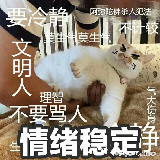 文件删不掉怎么强行删掉,文件删不掉怎么解决呢