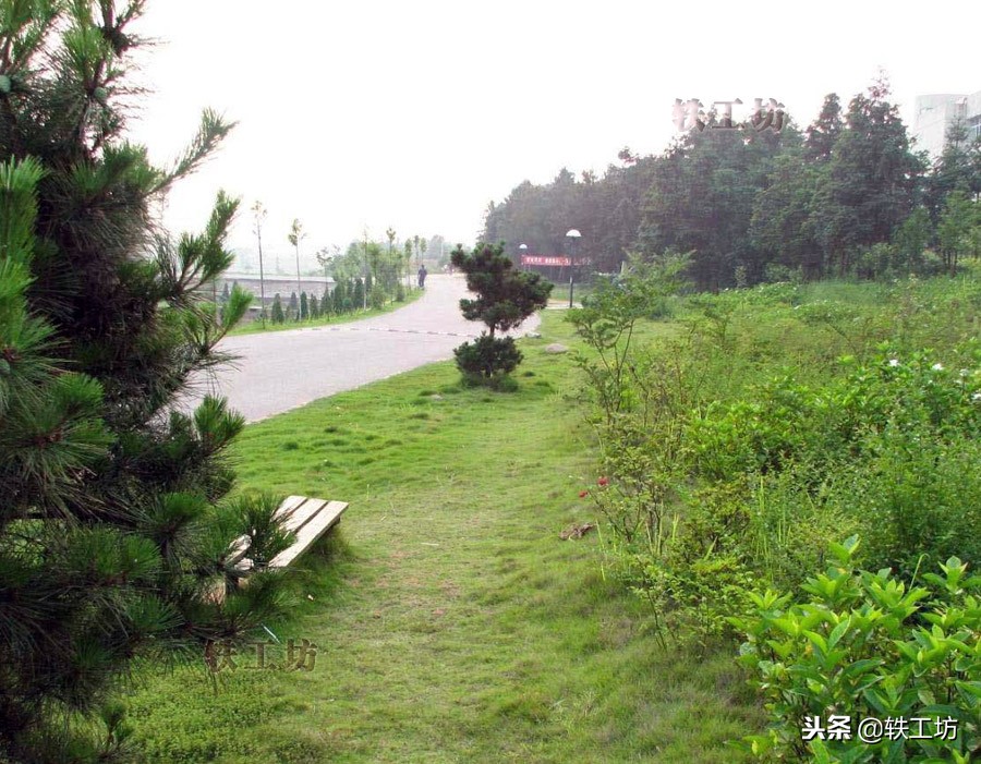 升本了发现还不如专科,哪些高职院校不可以升本