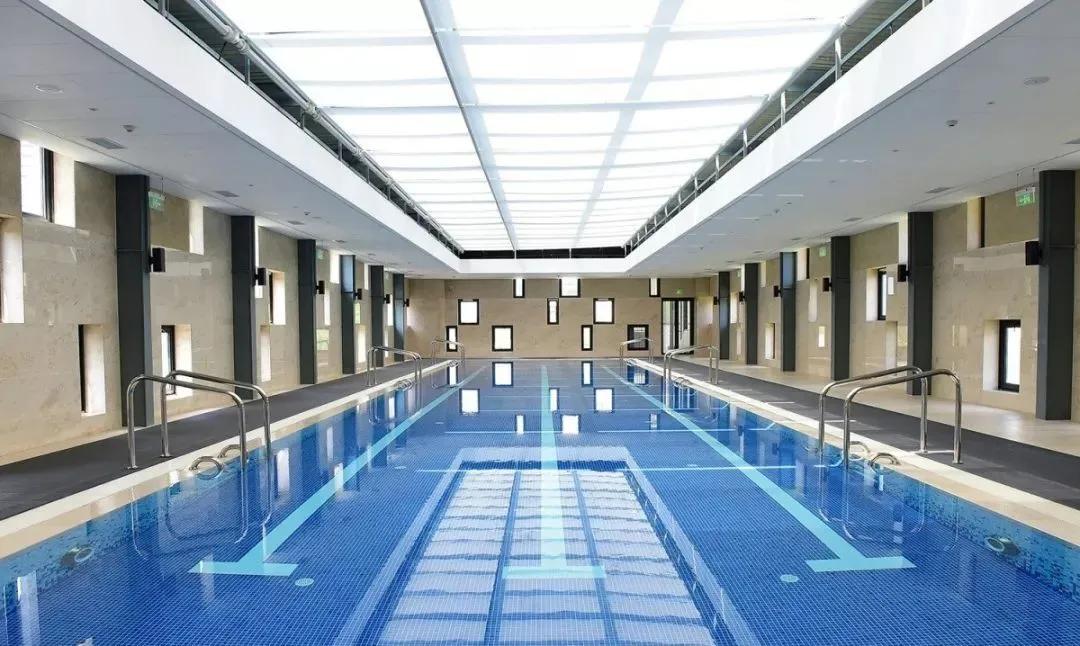 上海新晋10所黑马小学大盘点,上海最出名的十所小学