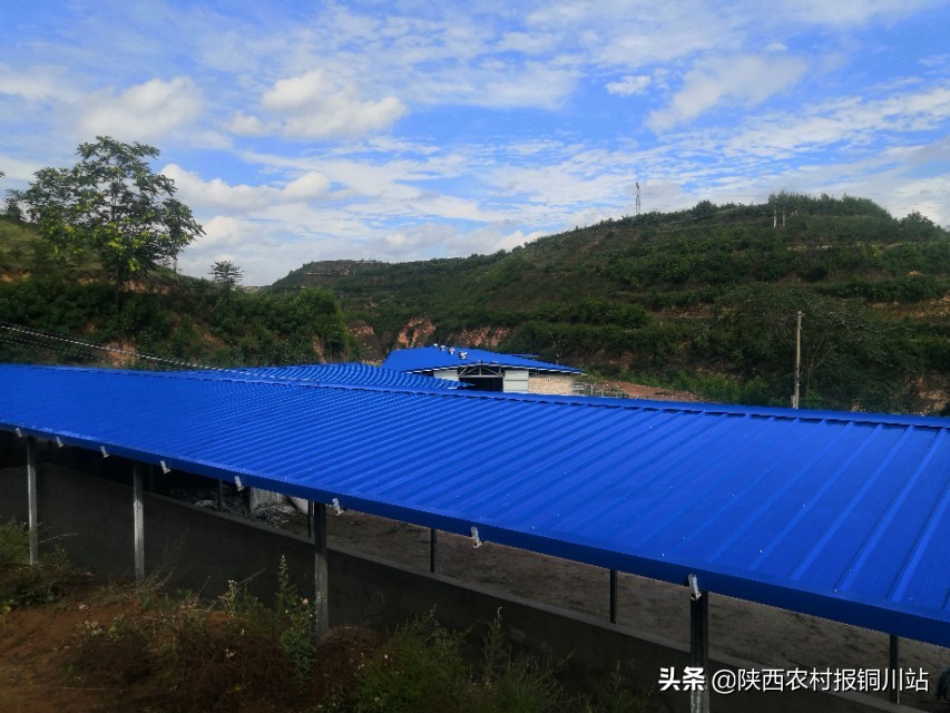 陈百强一生一共唱了多少首歌,朱百强个人资料