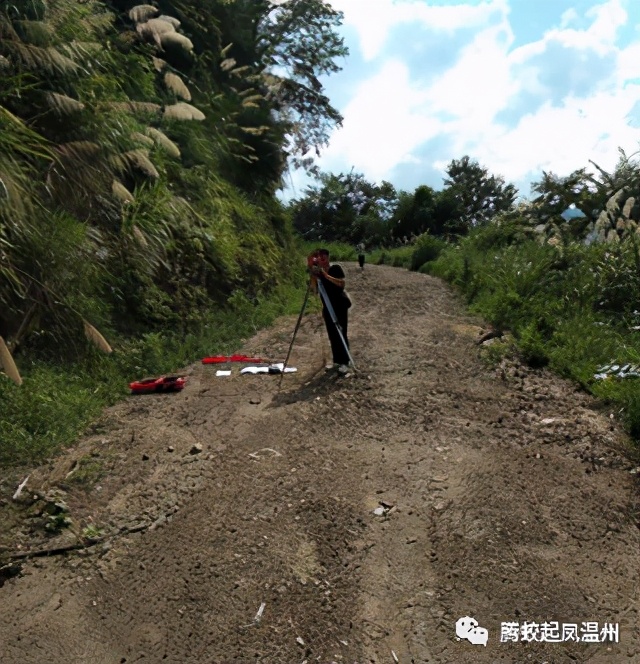 腾蛟镇发展,腾蛟凤巢社区