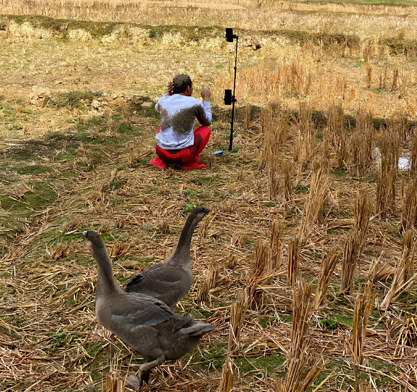 看了潘长江，才读懂那些“不要脸”的网红：流量，真能把人变成鬼